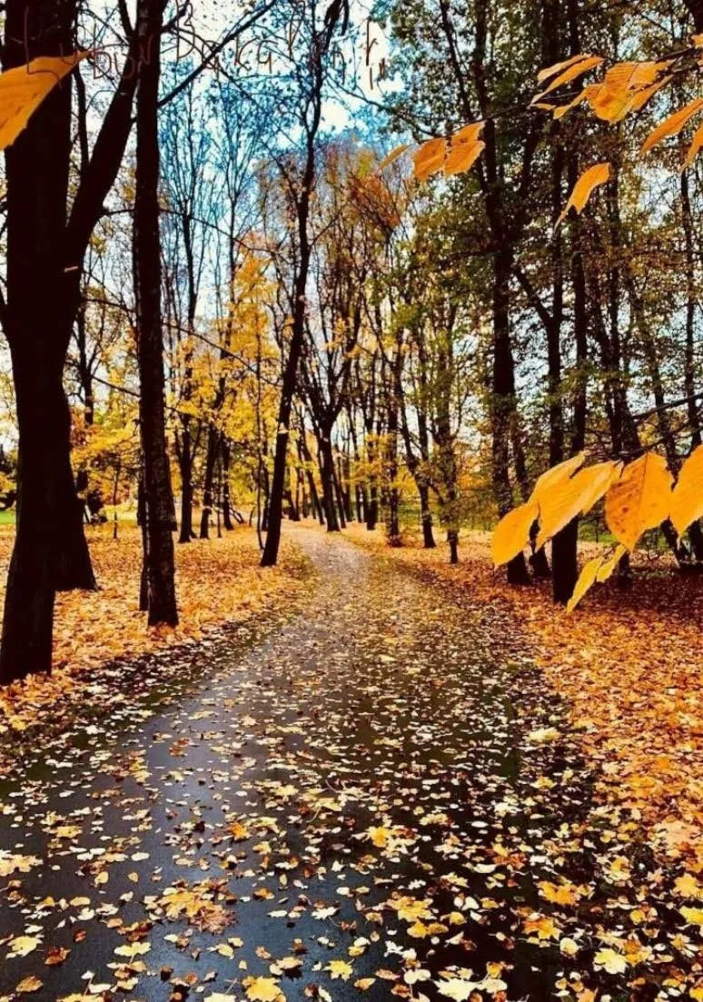 Дорога 056