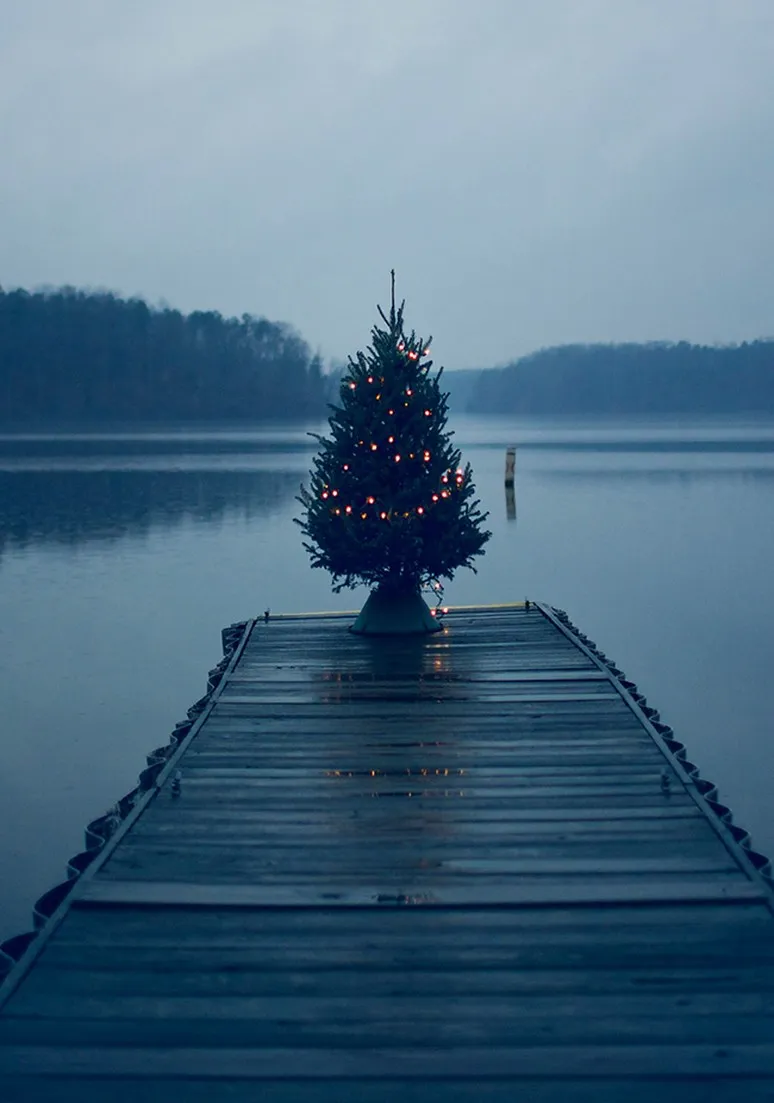 Дерево 014